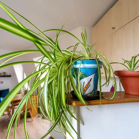 Cozy Parisian Nest, Ideal For Getaway Or Work * Paris
